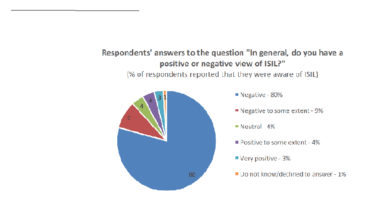 Pie chart indicating the Arab world has an overwhelmingly negative view of ISIL (ISIS).